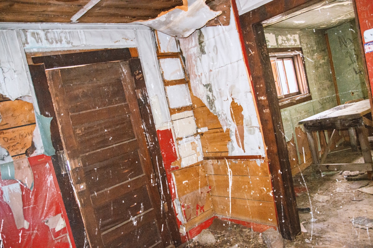 Mold Remediation service in Chico, CA