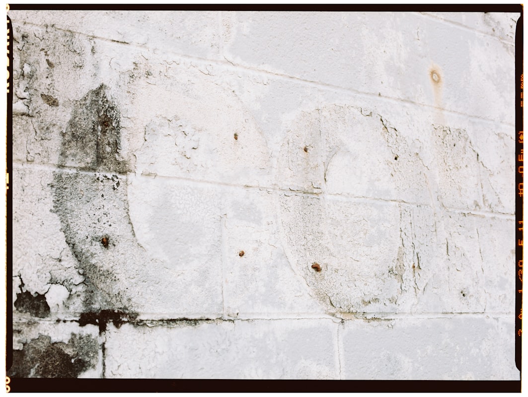 Mold Remediation service in Chico, CA