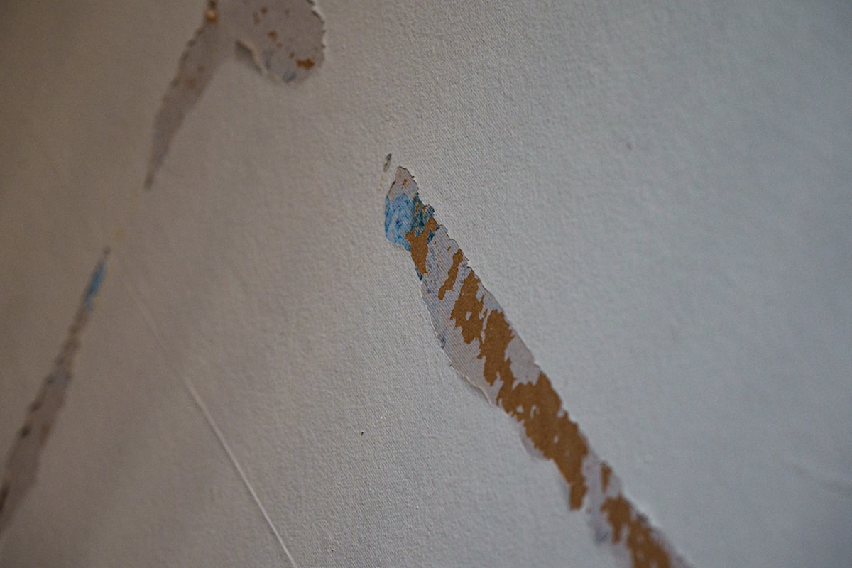 Storm Damage Repair service in Chico, CA